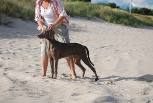 UNDRA, 6 months old. BOB-puppy at her first show!